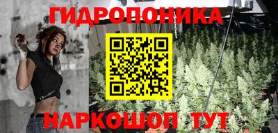 прущая мука Пугачёв